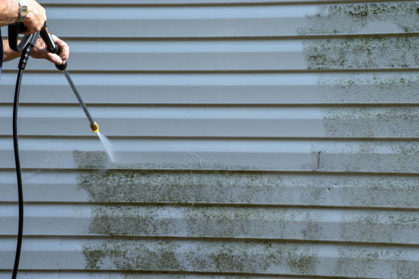 Best Carpet Removal and Disposal  in Zionsville, IN